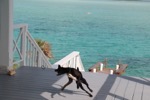 resIMG_20180706_161354_0093.JPG